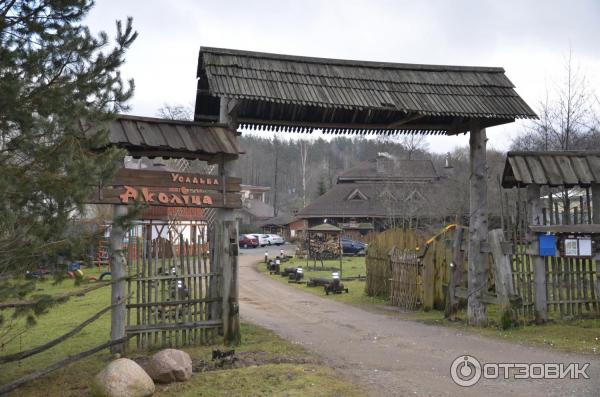 Гостиница Аколица (Беларусь, Минский район) фото