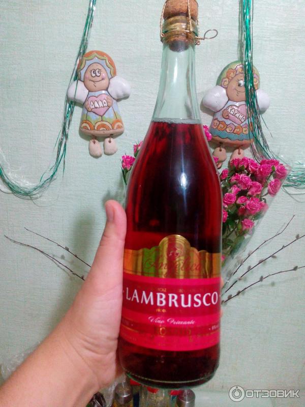 Розовое игристое вино Casa Bella Angelica Lambrusco Rosato Dolce фото