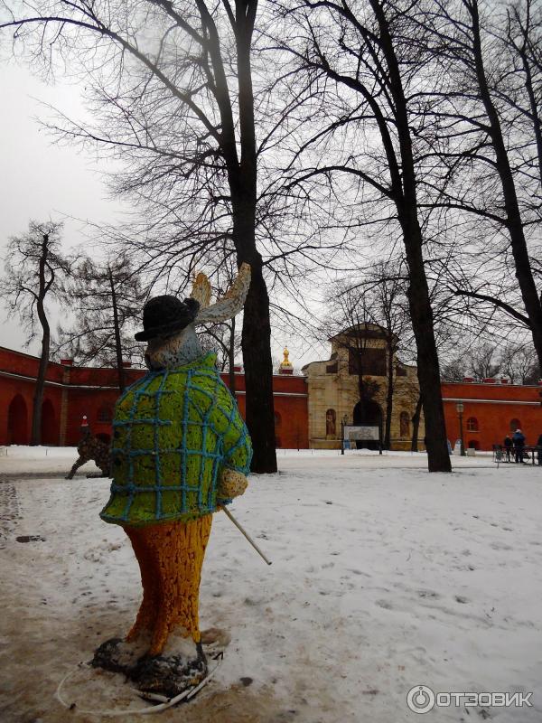 Заяц в Петропавловке