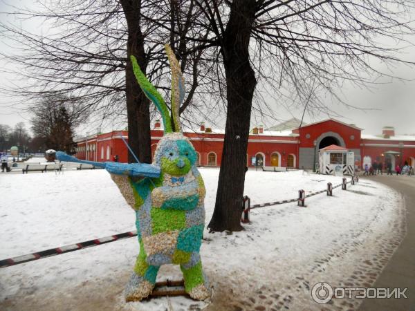 Заяц в Петропавловке