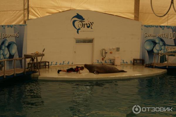 Дельфинарий Troy Aqua & Dolphinarium (Турция, Белек) фото