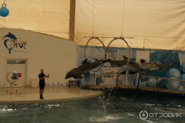 Дельфинарий Troy Aqua & Dolphinarium (Турция, Белек) фото