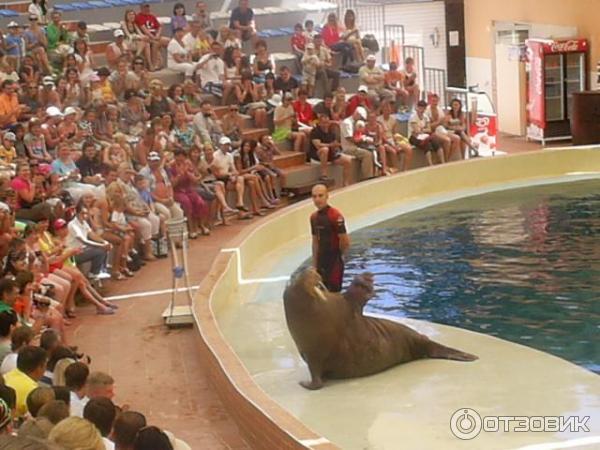 Дельфинарий Troy Aqua & Dolphinarium (Турция, Белек) фото