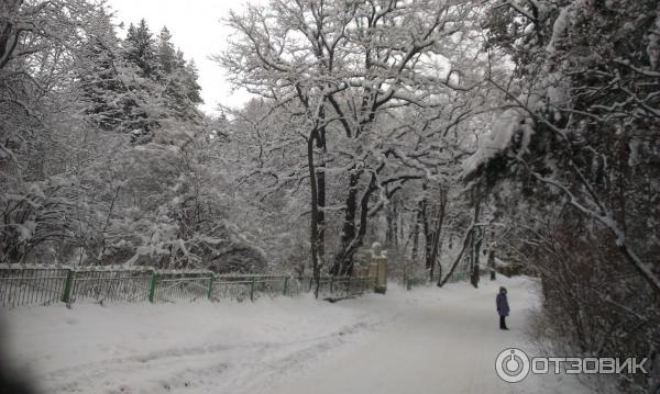 Тебердинский заповедник (Россия, Карачаево-Черкесия) фото