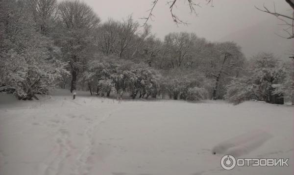 Тебердинский заповедник (Россия, Карачаево-Черкесия) фото