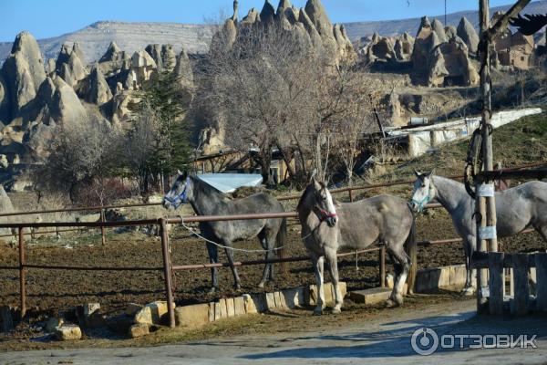 Музей под открытым небом Goreme (Турция, Каппадокия) фото