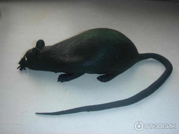 Игрушка Creepsterz Stretchy Rat фото