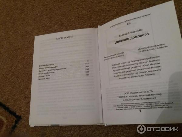 Читать книгу пустышка 8. ЧЕШИРКО дневник домового. Дневник домового книга.