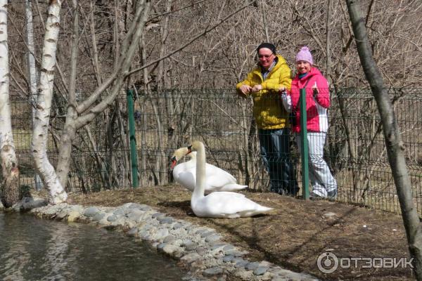 Тебердинский заповедник (Россия, Карачаево-Черкесия) фото