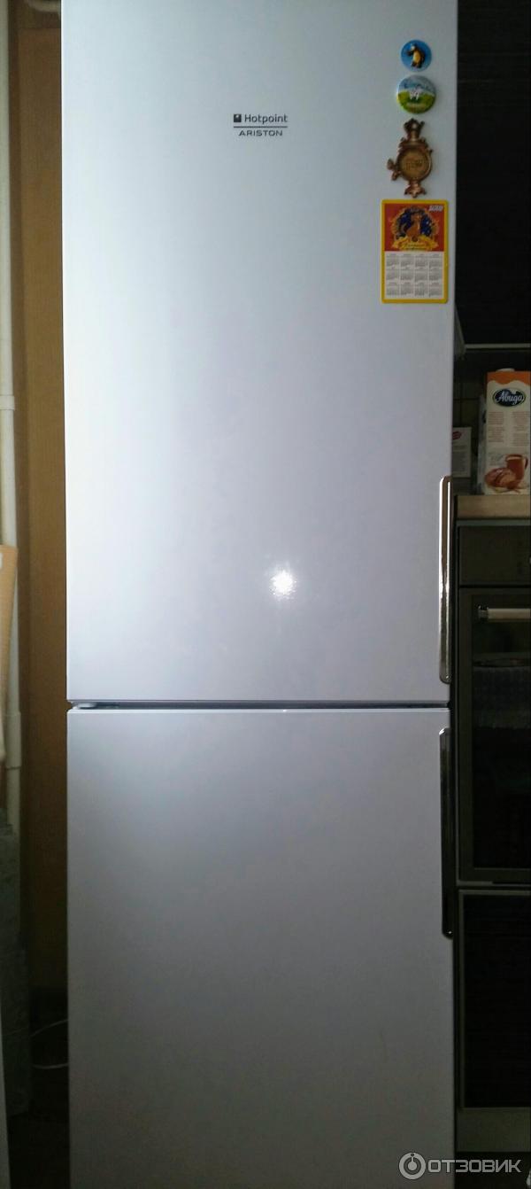 Холодильник Hotpoint Ariston 4180 W Купить