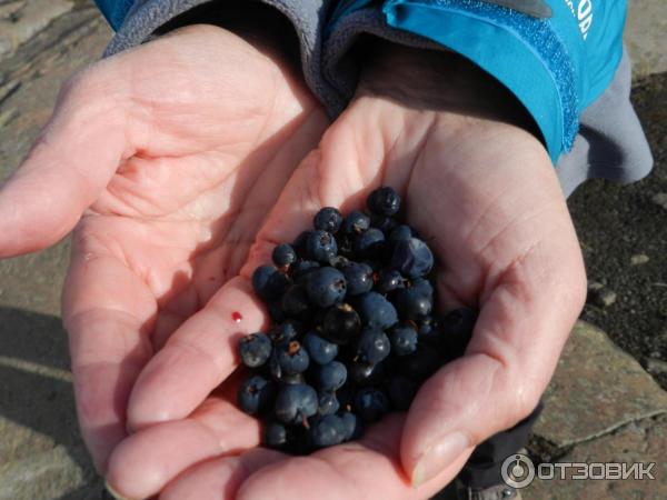 Водопады Исландии фото