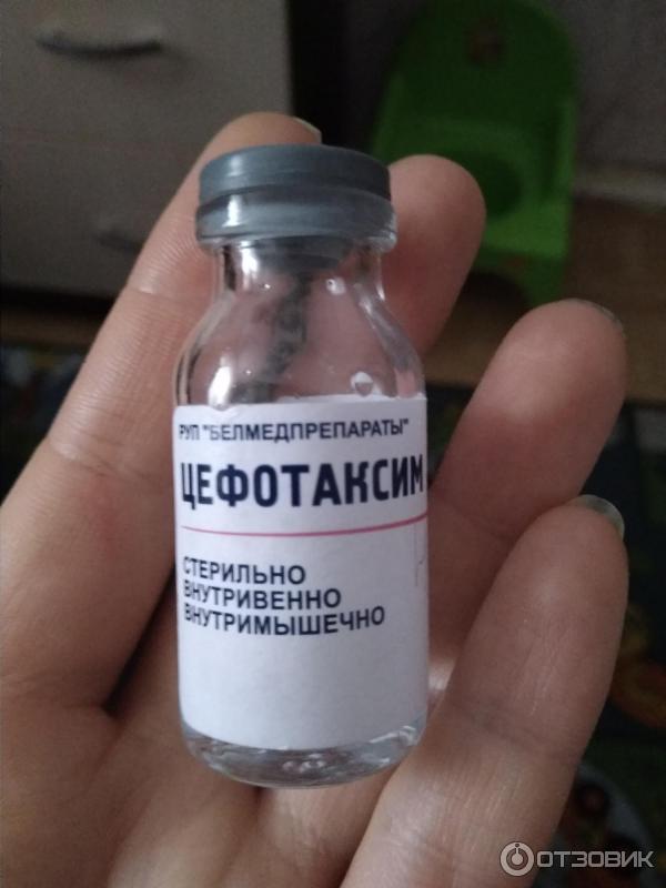 Самый сильный антибиотик в ампулах. Самый сильный антибиотик широкого спектра в уколах. Антибиотики в ампулах широкого спектра. Антибиотики в уколах широкого спектра. Антибиотики в ампулах широкого спектра действия.