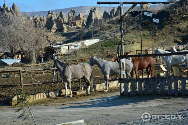 Отдых в г. Гереме (Турция) фото