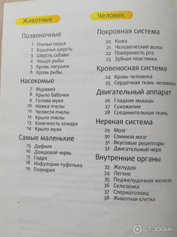 Набор микропрепаратов Levenhuk N80 NG Увидеть все! фото