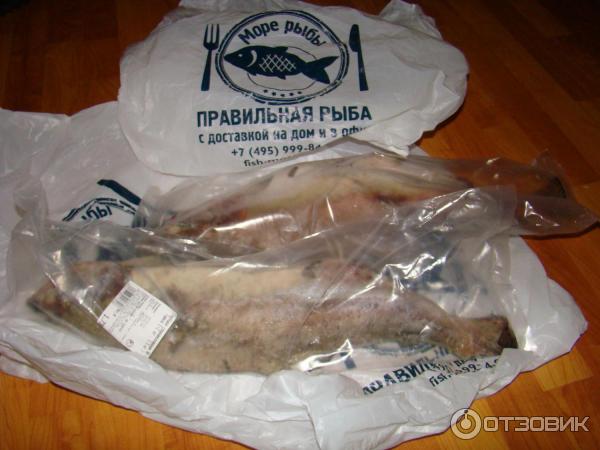 Fishorder.ru - интернет-магазин северных морепродуктов фото