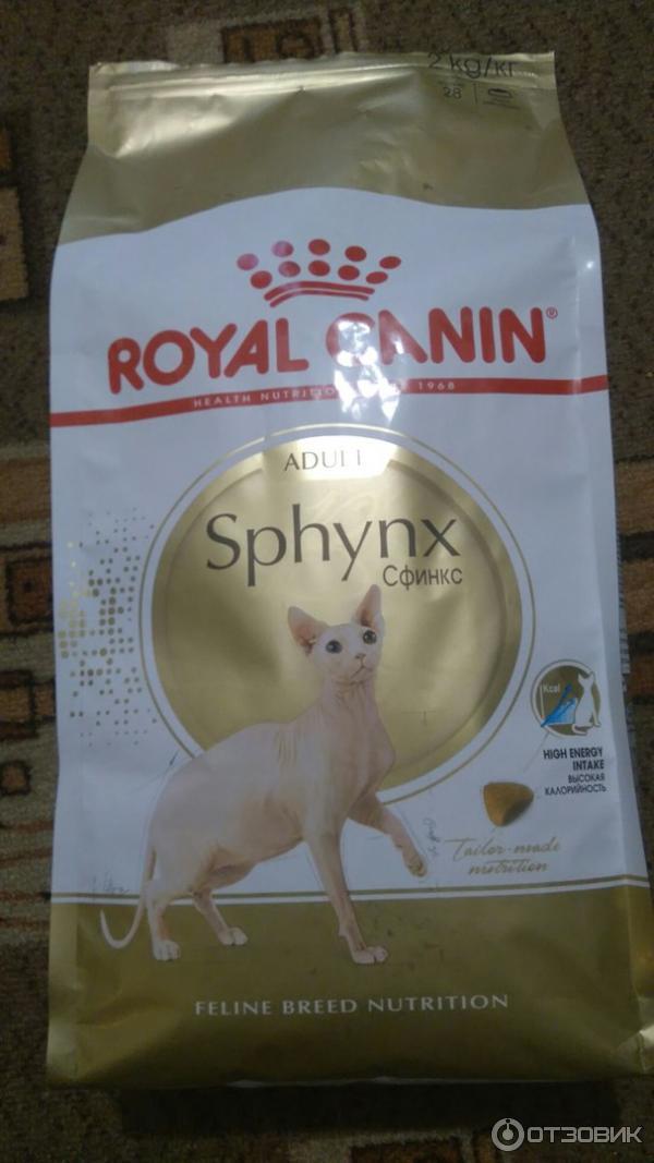 Royal canin kitten sphynx. Роял канин сфинкс. Royal canin sphynx. Роял канин для сфинксов. Роял канин для сфинксов.