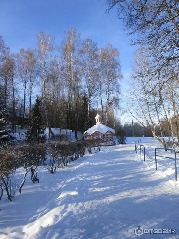 Святой Источник преподобного Давида в селе Талеж (Россия, Чехов) фото