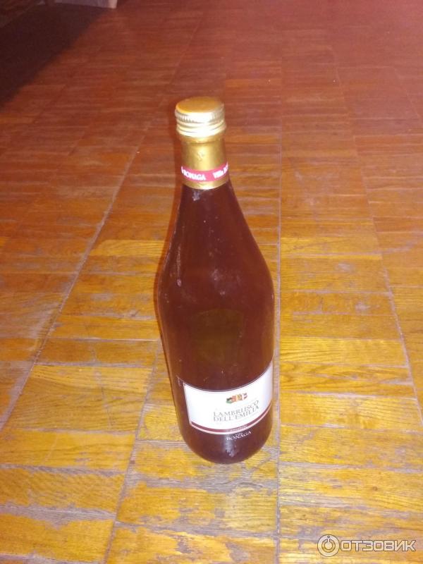 Вино Lambrusco Dell'Emilia Villa Bonaga фото