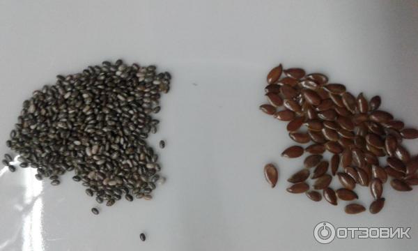 Семена чиа Nutiva Chia seed фото