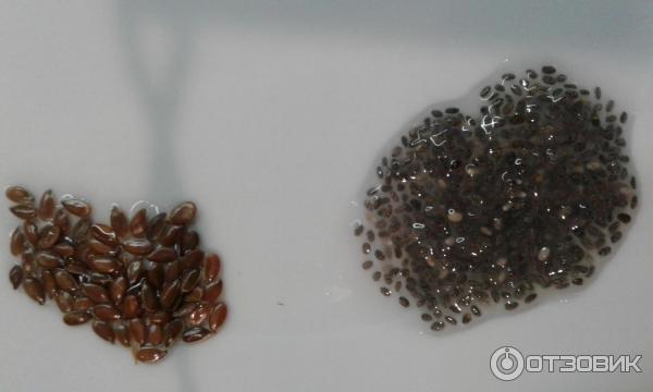 Семена чиа Nutiva Chia seed фото