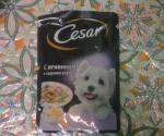 Корм для собак Cesar фото