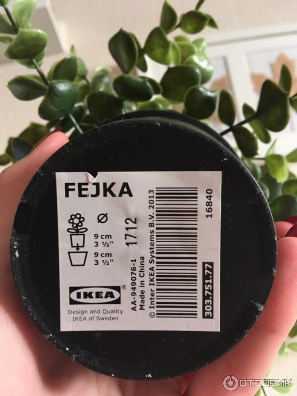 Искусственное растение IKEA Фейка фото