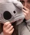 Koala03