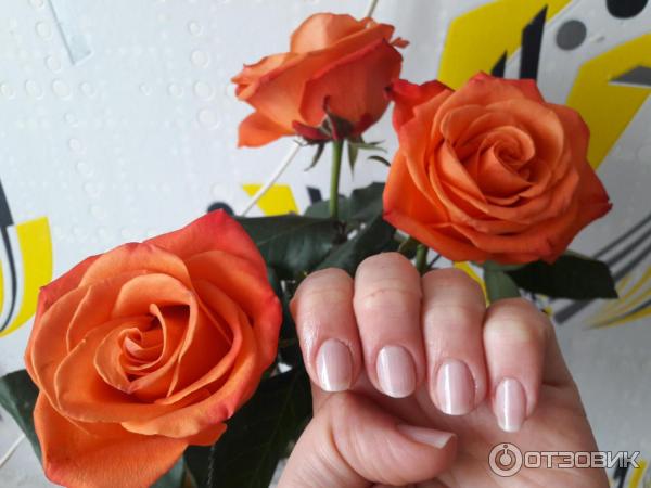 Гель-лак для ногтей Bluesky Gel Polish Color фото