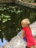 Архитектурный парк "Поляна сказок" (Крым, Ялта) фото