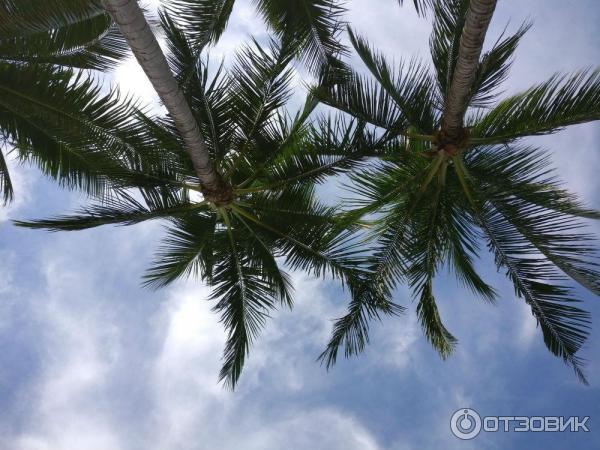 Отель Crystal Bay Yacht Club Beach Resort 3* (Тайланд, Самуи) фото