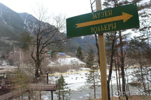 Тебердинский заповедник (Россия, Карачаево-Черкесия) фото