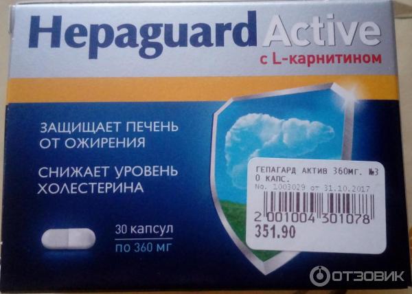 Гепагард актив инструкция по применению отзывы. Гепагард Актив. БАД для печени гепагард. Гепагард 120. Гепард Актив для печени.