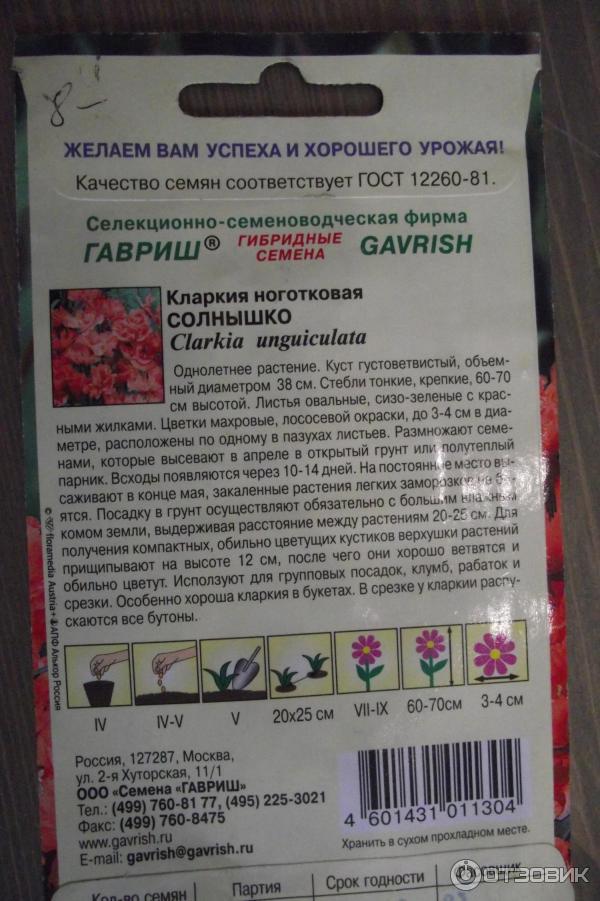 Обеззараживание семян перед посевом. Семена цветов. Кларкия всходы. Семена. Семена витрина.