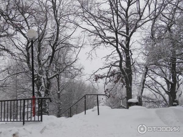 Пансионат Солнечный (Россия, Звенигород) фото