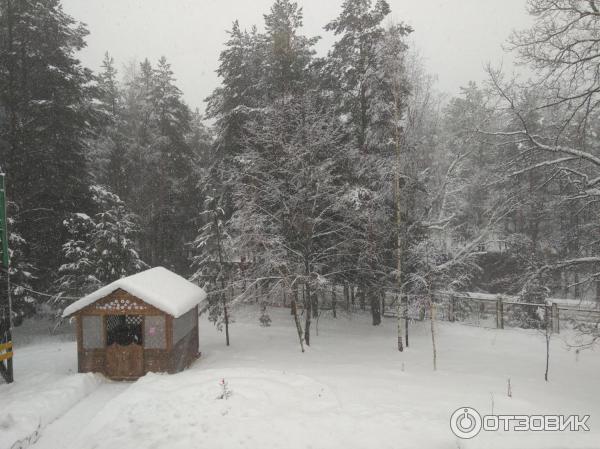 Пансионат Солнечный (Россия, Звенигород) фото