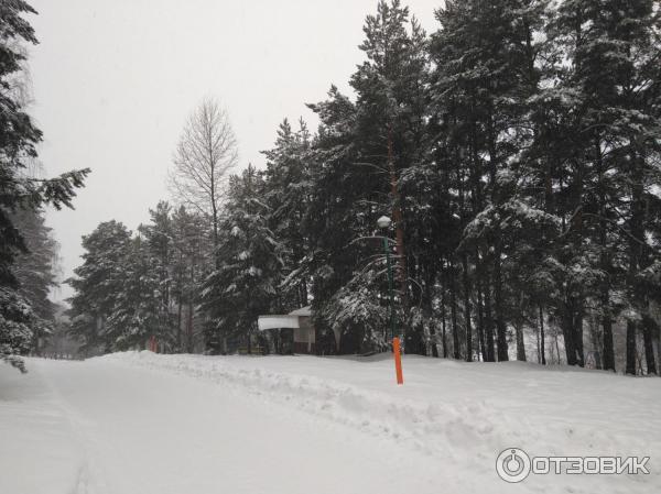 Пансионат Солнечный (Россия, Звенигород) фото