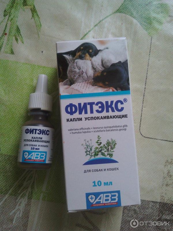 Успокоительные капли для кошек