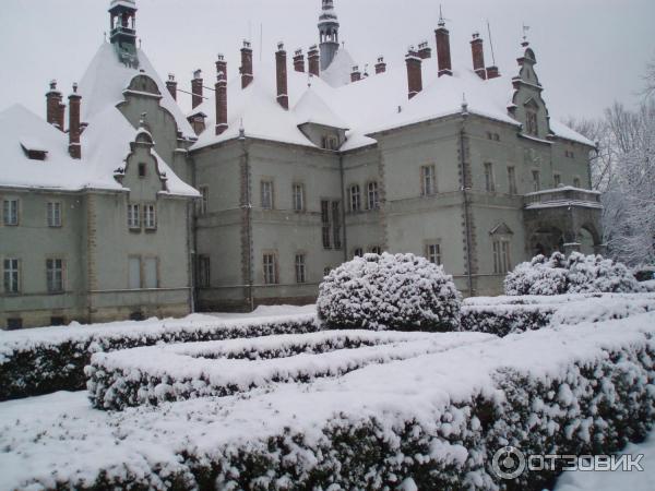 Замок графа Шенборна (Украина, Закарпатская обл.) фото