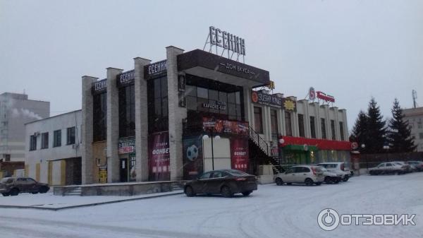 Есенин союзная ул 28 курск фото