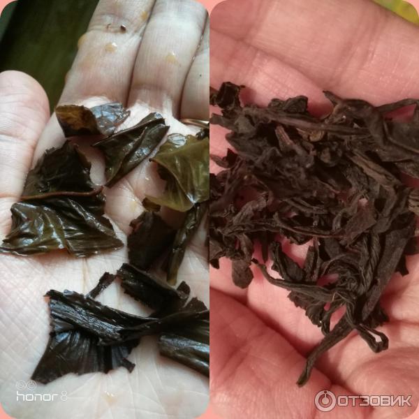 Чай черный крупнолистовой Beta Tea OPA фото