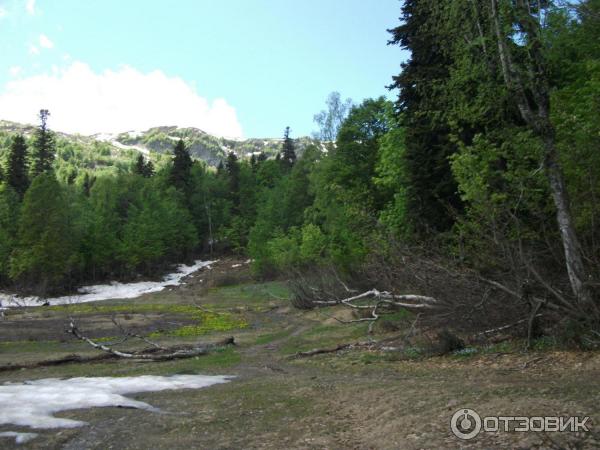 Экскурсия на Альпийские луга (Абхазия, Гудаутский район) фото