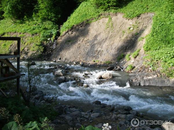 Экскурсия на Альпийские луга (Абхазия, Гудаутский район) фото