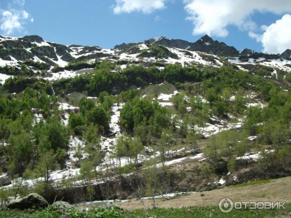 Экскурсия на Альпийские луга (Абхазия, Гудаутский район) фото