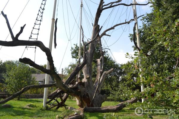 Национальный заповедник Хортица (Украина, Запорожье) фото