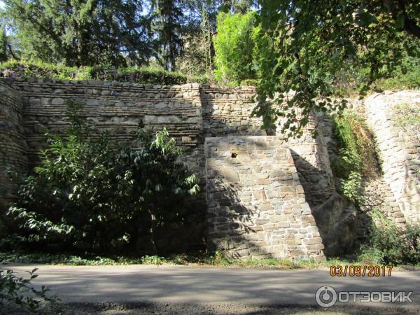 Ботанический сад (Грузия, Тбилиси) фото