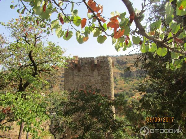 Ботанический сад (Грузия, Тбилиси) фото