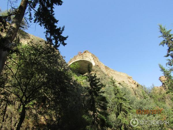 Ботанический сад (Грузия, Тбилиси) фото