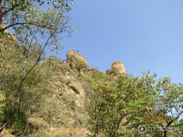 Ботанический сад (Грузия, Тбилиси) фото