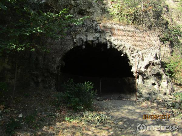 Ботанический сад (Грузия, Тбилиси) фото