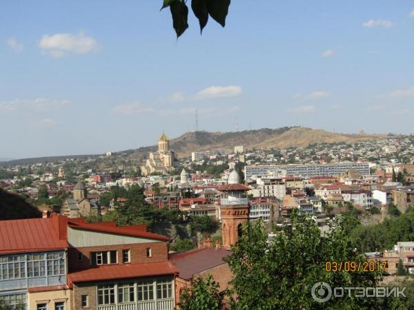 Ботанический сад (Грузия, Тбилиси) фото